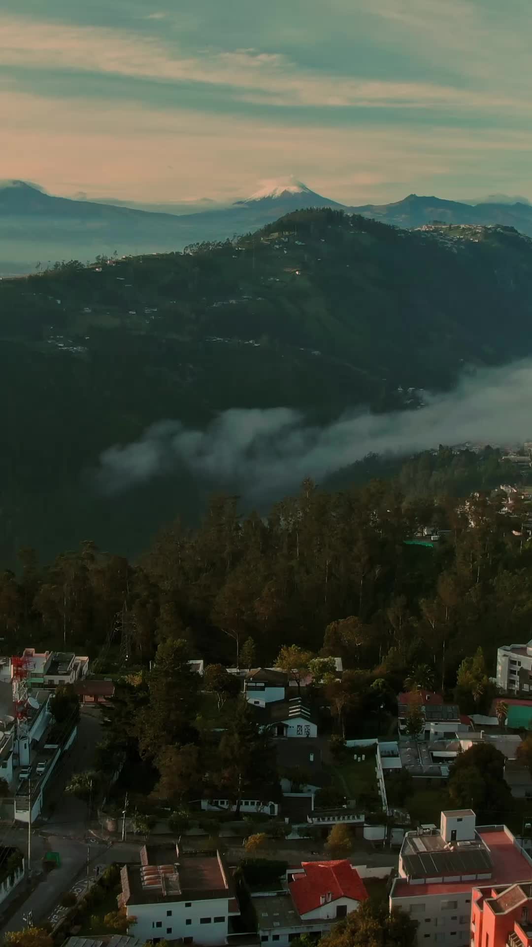 第2話 - My Husband Is the Father of Her Son